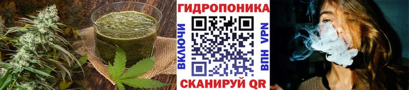 Купить закладки  Кингисепп  Еда ТГК конопля 