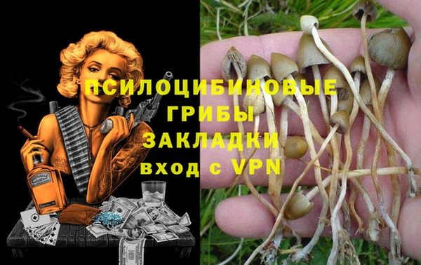MDMA Premium VHQ Арсеньев
