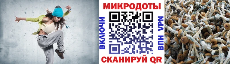 Купить закладки  Кингисепп  Псилоцибиновые грибы мухоморы 
