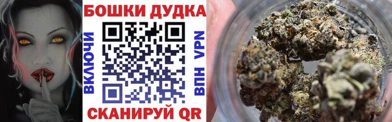 Купить Кингисепп Канабис OG Kush